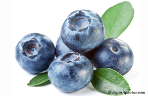 Ashburn chiropractic and nutritious blueberries